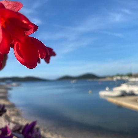 Amore Del Mare, Seaside Family Pace, Free Parking And Wifi In Camp Dalmatino Drage Luaran gambar