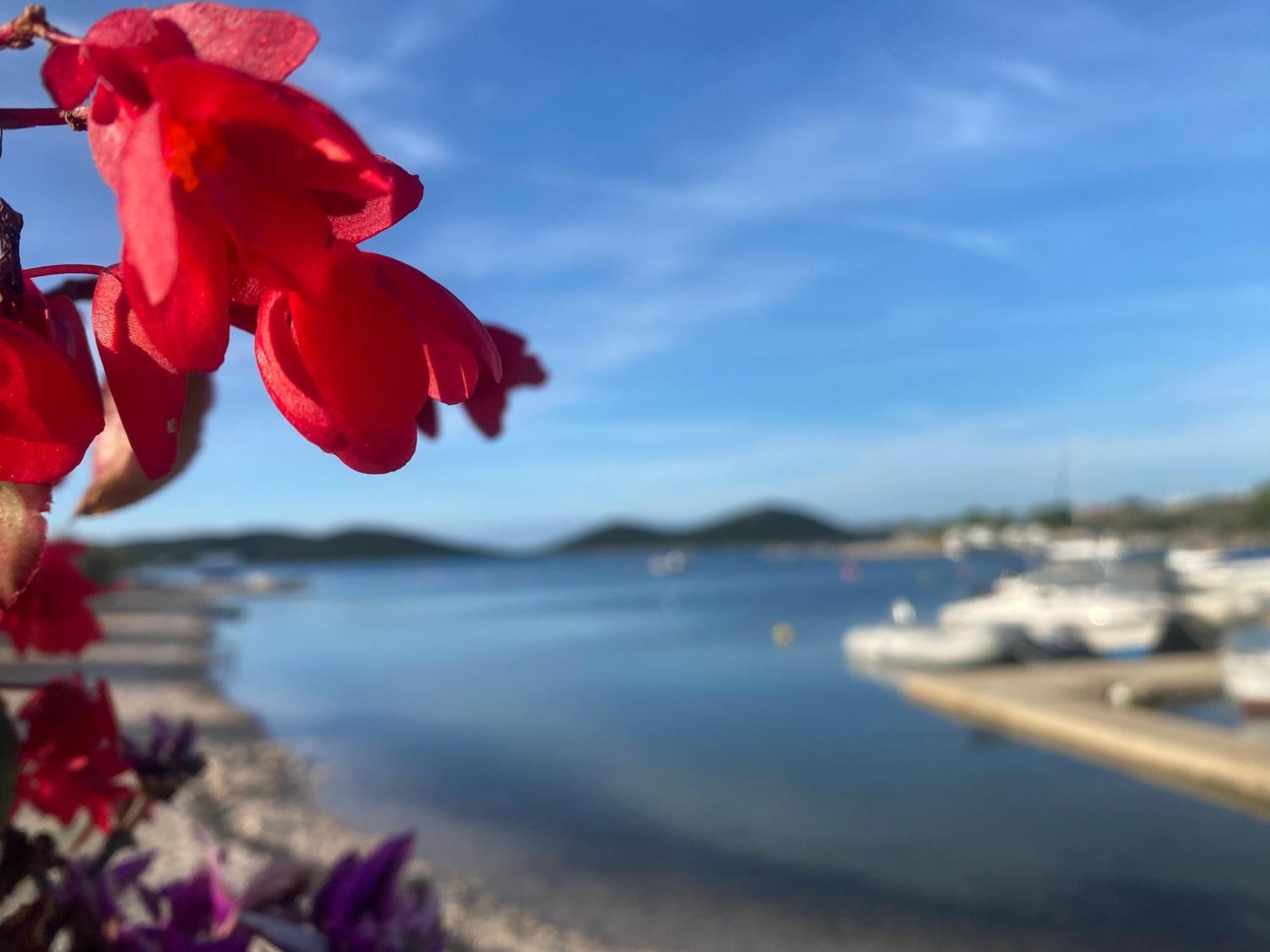 Amore Del Mare, Seaside Family Pace, Free Parking And Wifi In Camp Dalmatino Drage Luaran gambar